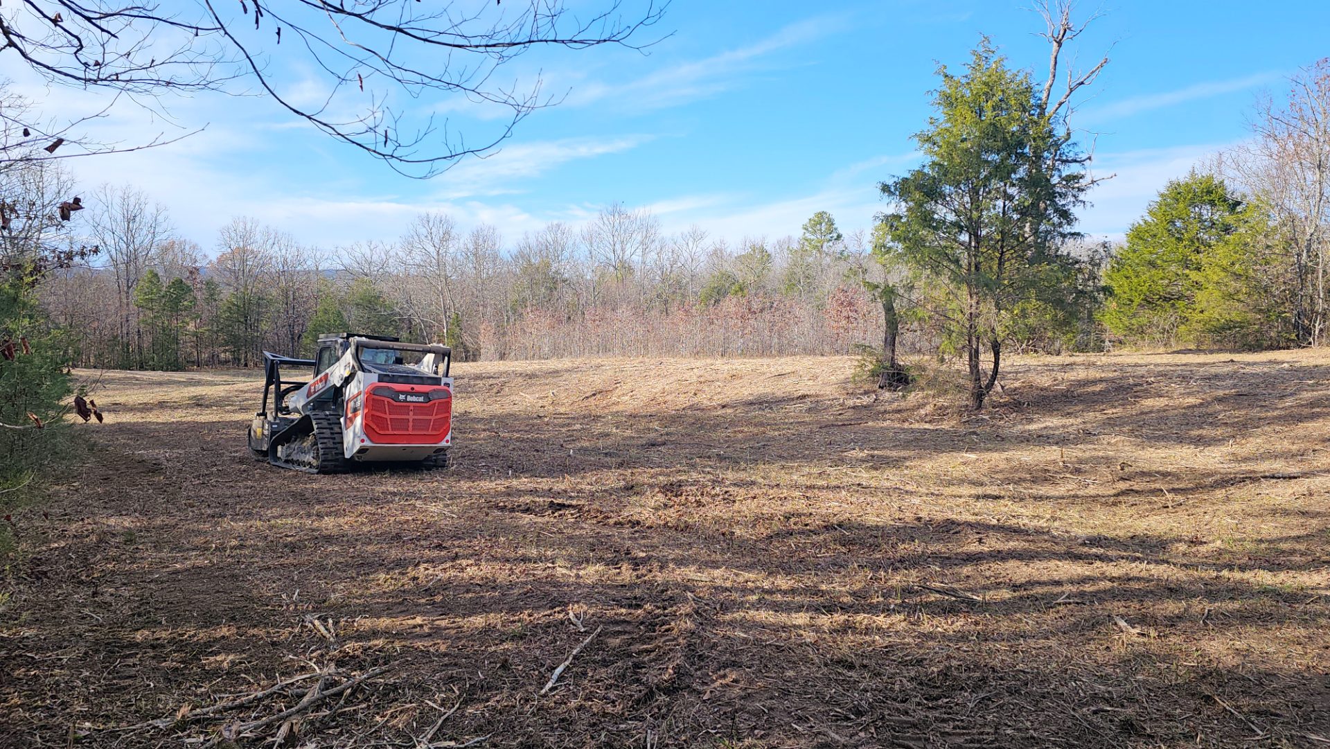 Forestry mulching across a sloped property