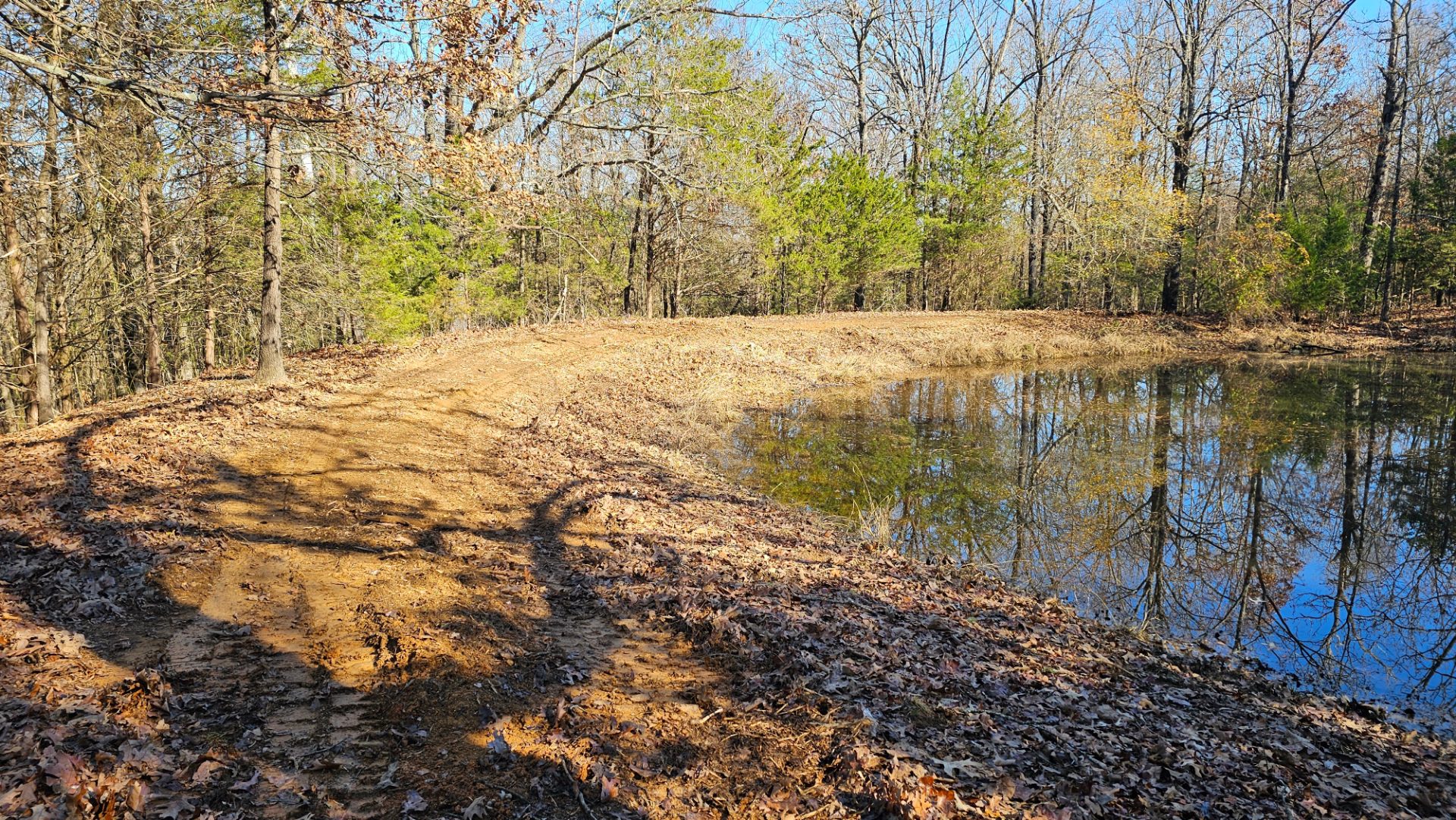 Cleared pond bank with new access