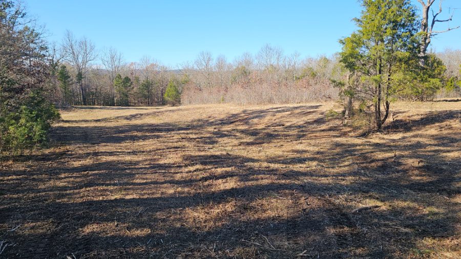 Acreage cleared and mulched by Kingdom Land Services