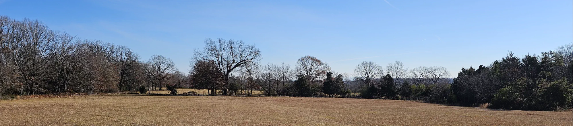Cleared acreage ready for its next use