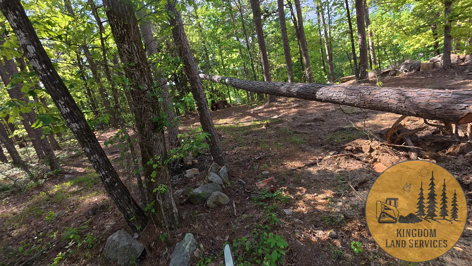Kingdom Land Services performing tree removal and land cleanup