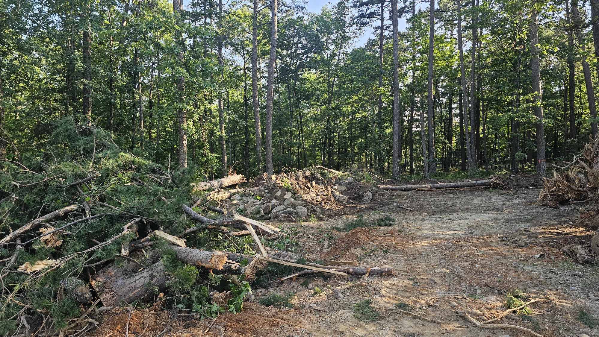 Wooded property opened for access