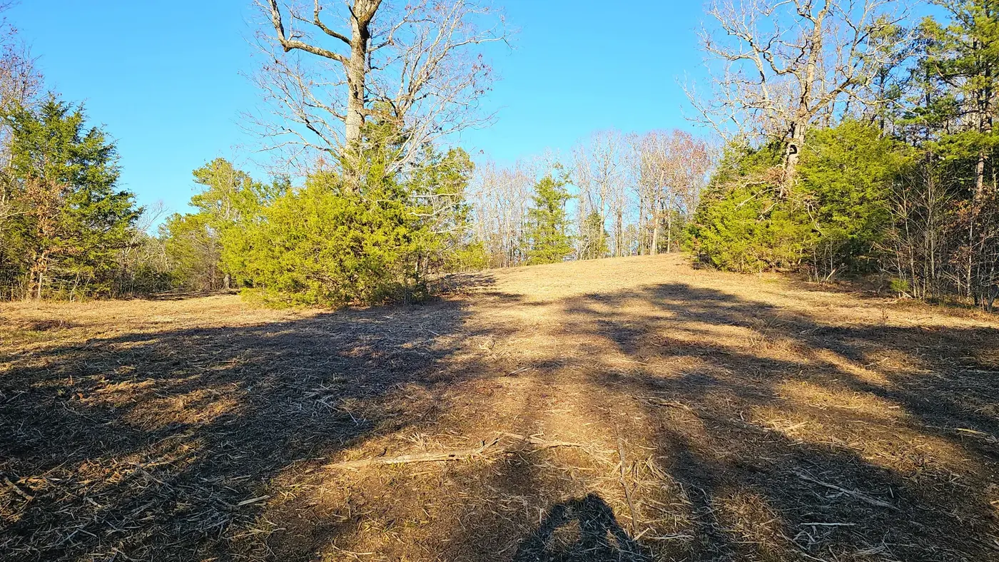 Brush-clearing project after Kingdom Land Services opened the property