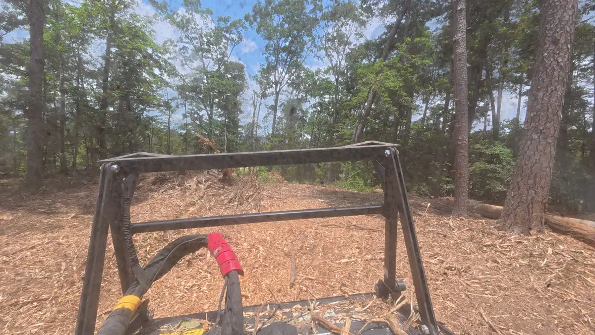 Ground covered in fresh wood chips after forestry mulching