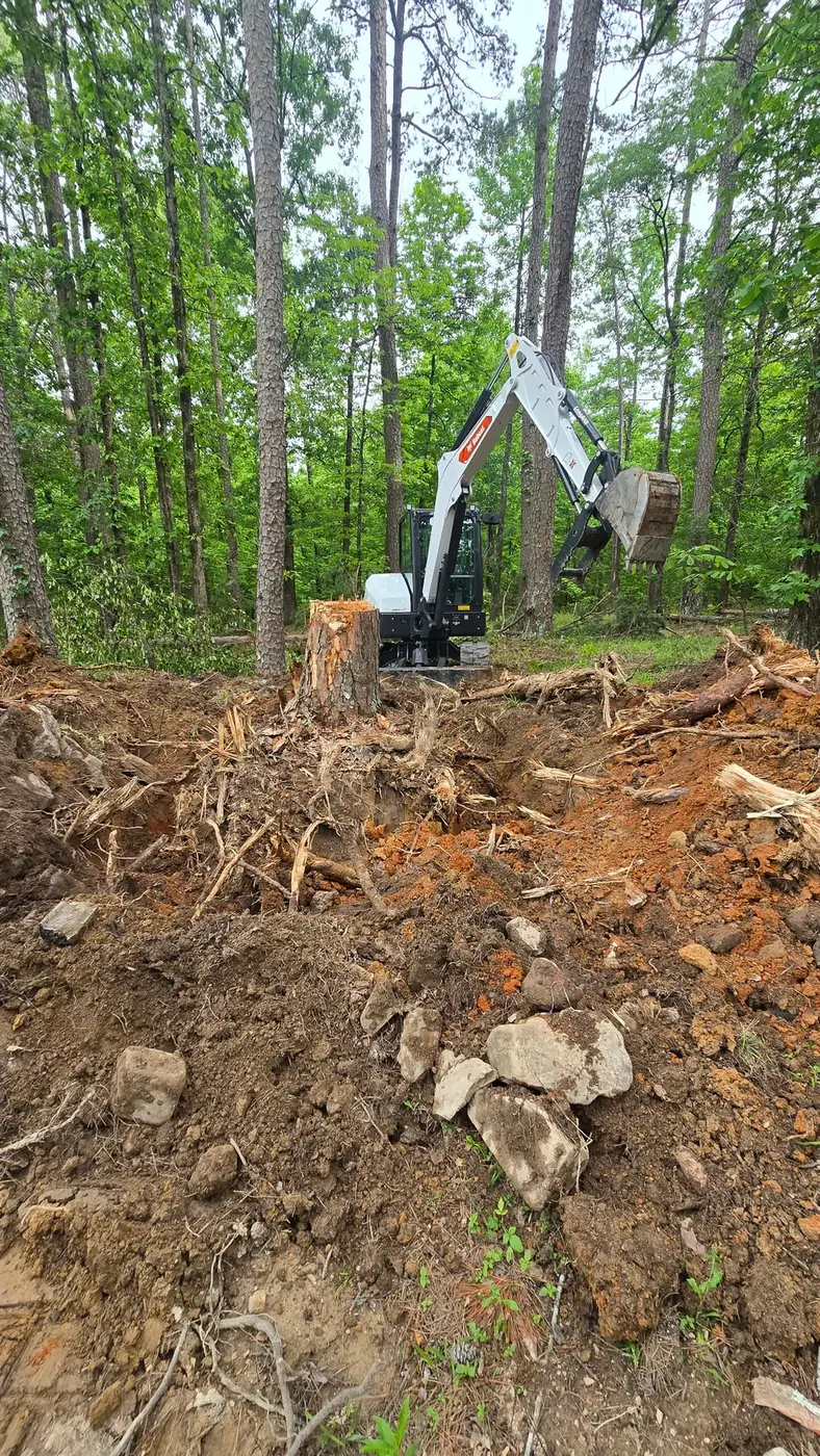 Stump and root excavation in progress