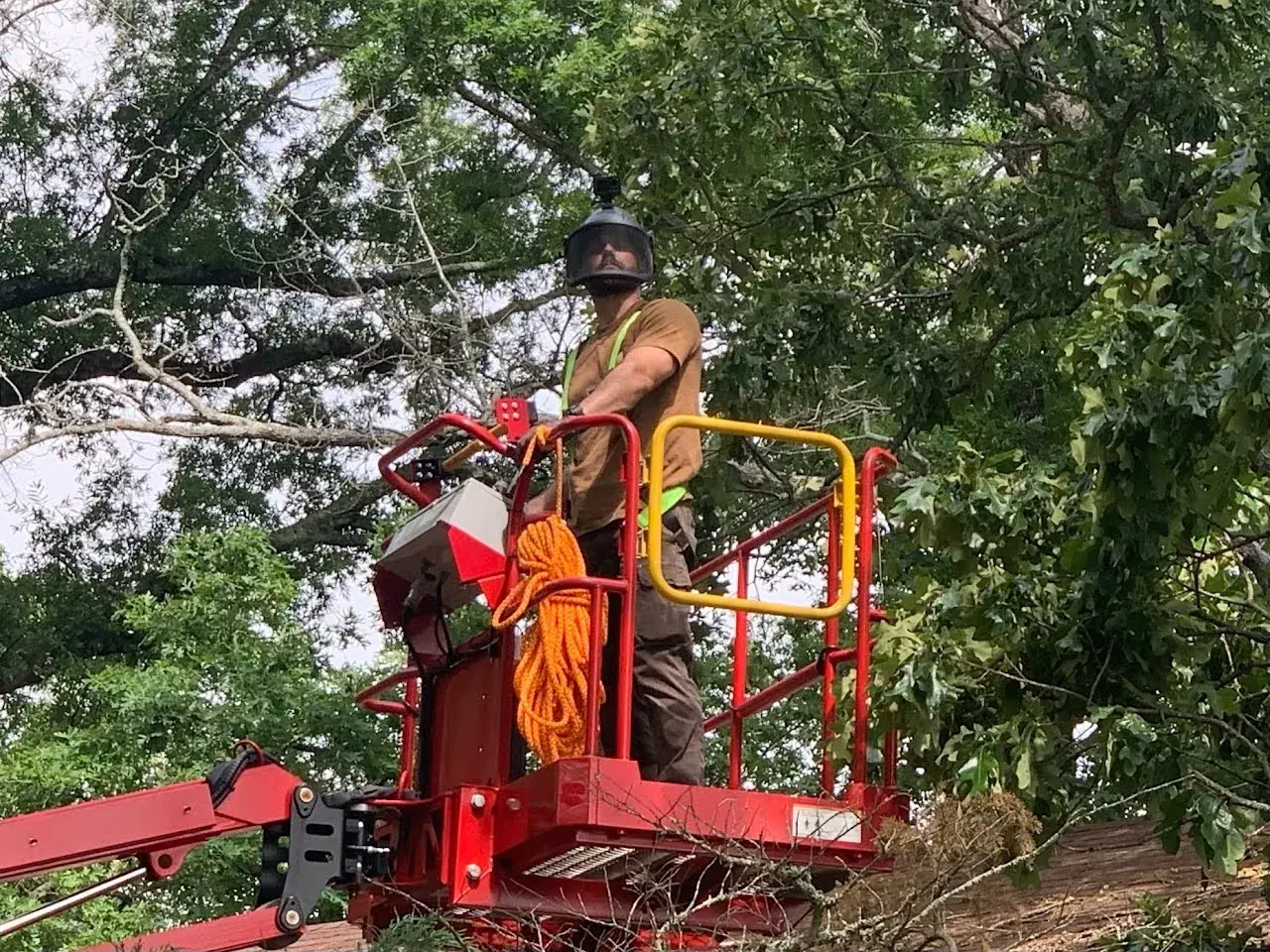 Tree removal and storm cleanup